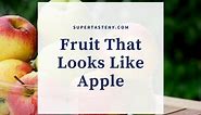 Here Is a List of the Fruit That Looks Like Apple - Super Taste