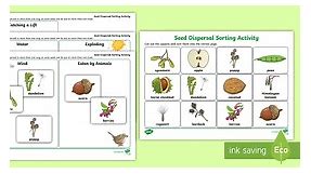 Seed Dispersal Sorting Activity