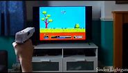 SNES mini / NES classic Lightgun games on an LCD television using a Sinden Lightgun.