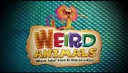 VBS 2014 - Weird Animals vacation Bible school at a glance | Group Publishing