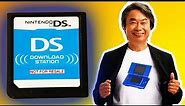 The Nintendo DS Download Station Cartridge