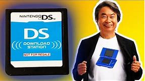 The Nintendo DS Download Station Cartridge