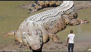 Top 10 Biggest Crocodile In The World