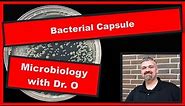Bacterial Capsule: Microbiology
