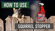 How to Use Squirrel Stopper RTU Spray Repellent [DIY Squirrel & Chipmunk Control]