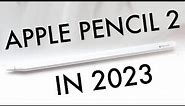 Apple Pencil 2 In 2023! (Still Worth Buying?) (Review)