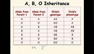 11. AB blood type (genetics)