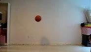 Bouncing Ball Basketball Reference 24fps