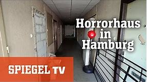 Horror-Haus in Hamburg: Leben zwischen Schimmel und Dreck | SPIEGEL TV