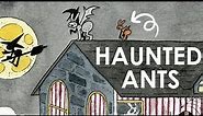 HAUNTED HOUSE - An Ant Illustration