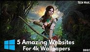 Top 5 Websites To Download Amazing 4k Wallpapers For Pc | How To Download 4k Wallpapers For Pc 2023