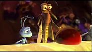 Bugs Life Bloody mary mosquito