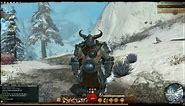 Guild Wars 2 level 36 Norn Warrior Gear and Gameplay