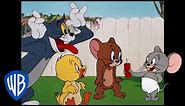 Tom & Jerry | Cuteness Overload! | Classic Cartoon Compilation | WB Kids