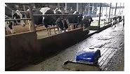 Manure Cleaning Robot