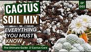 How I Make the Perfect Cactus Soil mix / Cactus Care Ep. 02