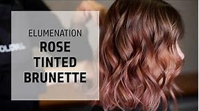 Rose Tinted Brunette | Elumenated Hair Color | Goldwell Education Plus