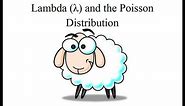 Statistics: The Mean (Lambda) of a Poisson Distribution Explained
