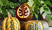 60 Free Pumpkin Carving Stencils to Personalize Your Porch Decor