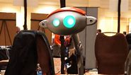 Budgee: The Adorable Robot That Hauls Your Stuff