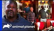 Shaq's Treetop Speakeasy Is Absolutely Jaw-dropping! | Treehouse Masters