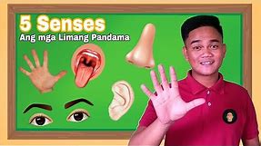 5 SENSES Tagalog | Ang limang Pandama