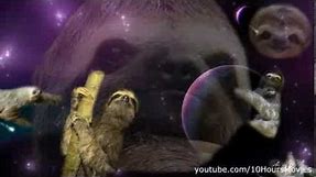 Sloths in space 10 hours