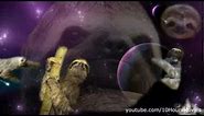 Sloths in space 10 hours