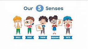 Our Five Senses - Science Lesson For Grade 1