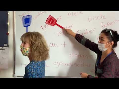 FLYSWATTER GAME for teaching Vocabulary