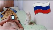 Cat Stands for Russian National Anthem