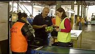 Australian apples and pears - delivering quality