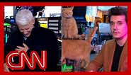 Anderson Cooper completely loses it as John Mayer dials in from a cat bar