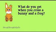 Kids Joke 42 Bunny Frog