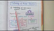 Transitional Cell Carcinoma (Urothelial Carcinoma) of BLADDER Pathology