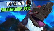 Top 10 New Hunter Pets Tamable in Shadowlands Zones WoW