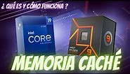 qué es y cómo funciona la MEMORIA CACHÉ de tu CPU