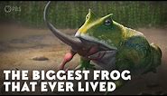 The Biggest Frog that Ever Lived