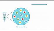 How it Works | Chromium Genome & Exome Solutions