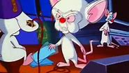 Pinky And The Brain - S2E15 - Brinky