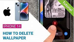 iPhone 14 - How To Delete Wallpaper •  • 📱1️⃣4️⃣ • 🎆 • 🚮 • Tutorial