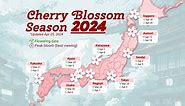 Japan Cherry Blossom 2025 Forecast: When & Where to See Sakura in Japan | LIVE JAPAN travel guide
