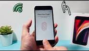 How to Set Up Touch ID on iPhone (2024)