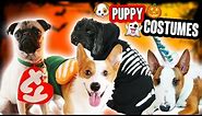 DIY DOG & PET COSTUMES (CUTE!!!!!)