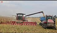CASE IH 9250 Axial-Flow Combines Harvesting Corn