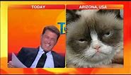 Anchor loses it in Grumpy Cat interview