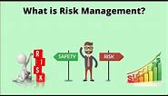 What is Risk Management? | Risk Management process