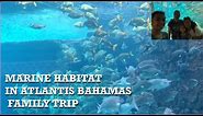 Marine Habitat In Atlantis Bahamas Family Trip