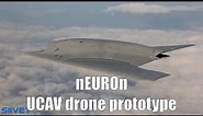 Dassault nEUROn UCAV Euro Combat Drone Prototype In Flight #2