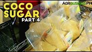 Coco Sugar Part 4 : How to make Coco Sugar | Agribusiness Philippines